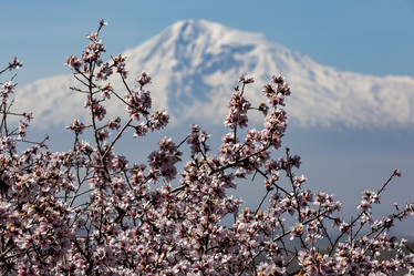 Similar image 21820534