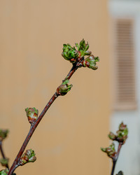 Similar image 21819791