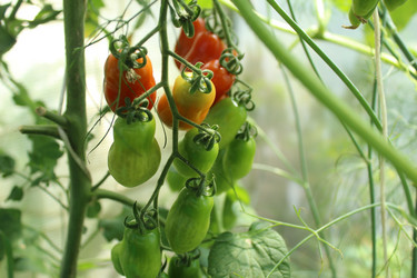 Similar image 21820084