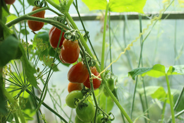 Similar image 21820085