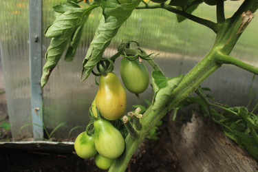 Similar image 21820086