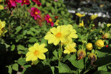 Similar image 21820087