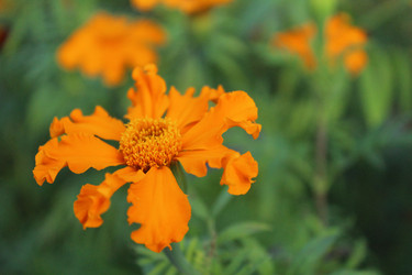 Similar image 21820090