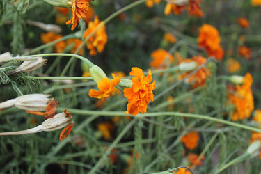 Similar image 21820092