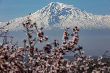 Similar image 21820536