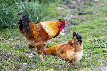 Similar image 21820541