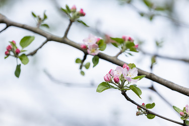 Similar image 21820543