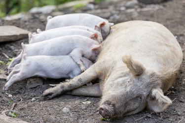 Similar image 21820547