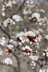 Similar image 21820572