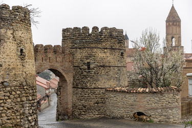 Similar image 21820581