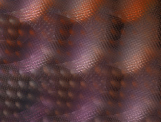 Similar image 21821753