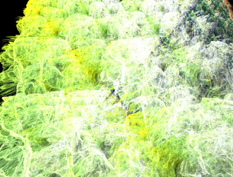 Similar image 21821754