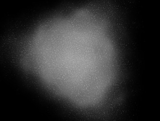 Similar image 21821756