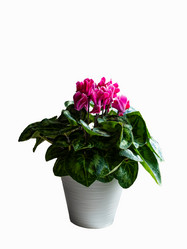 Similar image 21820144