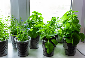 Similar image 21820145