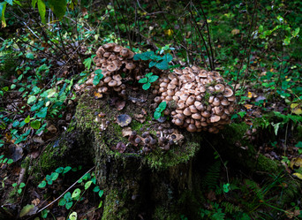 Similar image 21820150