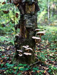 Similar image 21820151