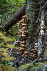 Similar image 21820153