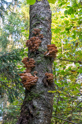 Similar image 21820155