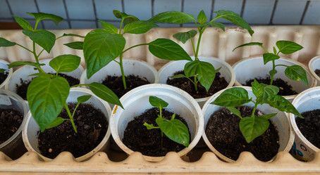 Similar image 21820156