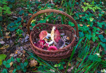 Similar image 21820157