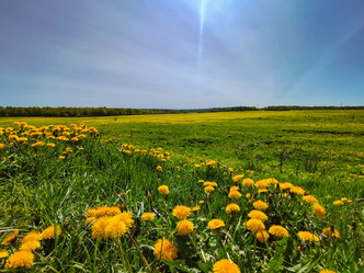 Similar image 21820159