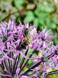 Similar image 21820160