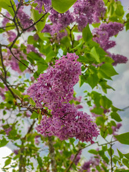 Similar image 21820161