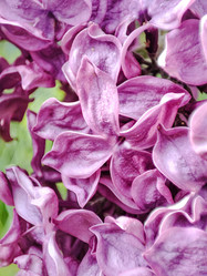 Similar image 21820163