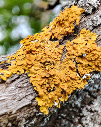 Similar image 21820165