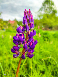 Similar image 21820167