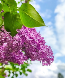 Similar image 21820168