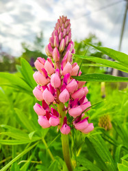 Similar image 21820169