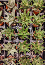 Similar image 21820172