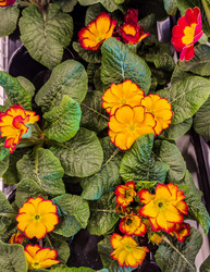 Similar image 21820175