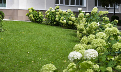 Similar image 21822648