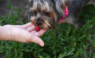 Similar image 21822660