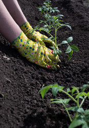 Similar image 21822663