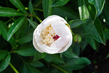 Similar image 21822664