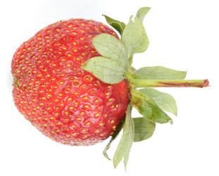 Similar image 21819822