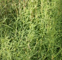 Similar image 21819825