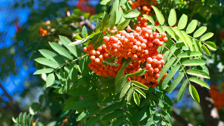 Similar image 21819826