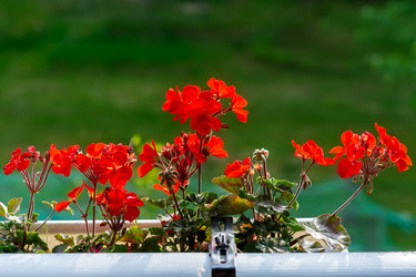 Similar image 21819844