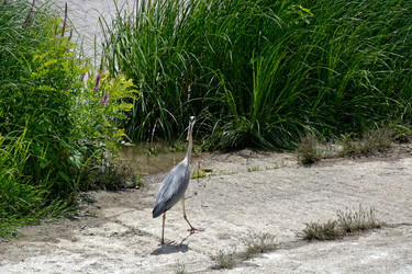 Similar image 21819845