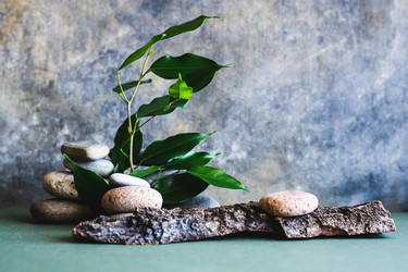 Similar image 21819859