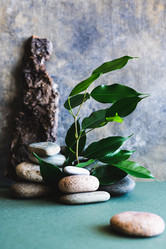 Similar image 21819860