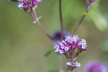 Similar image 21821795