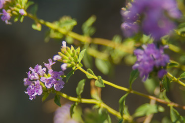 Similar image 21821796