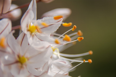 Similar image 21821797