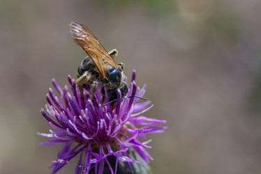 Similar image 21821798